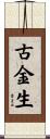 古金生 Scroll