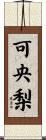 可央梨 Scroll
