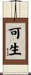 可生 Scroll