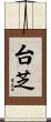 台芝 Scroll