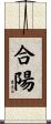 合陽 Scroll