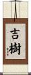 吉樹 Scroll