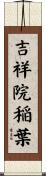 吉祥院稲葉 Scroll