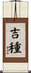吉種 Scroll