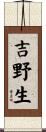 吉野生 Scroll