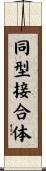 同型接合体 Scroll