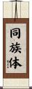 同族体 Scroll