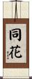 同花 Scroll