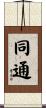 同通 Scroll