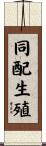 同配生殖 Scroll