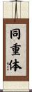 同重体 Scroll