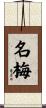 名梅 Scroll
