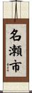 名瀬市 Scroll