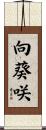 向葵咲 Scroll