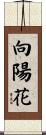 向陽花 Scroll