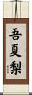 吾夏梨 Scroll