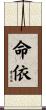 命依 Scroll