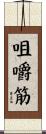 咀嚼筋 Scroll