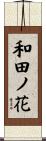 和田ノ花 Scroll