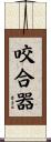 咬合器 Scroll