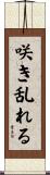 咲き乱れる Scroll