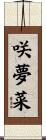 咲夢菜 Scroll