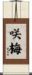 咲梅 Scroll