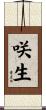 咲生 Scroll