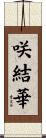 咲結華 Scroll