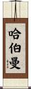 Haberman Scroll