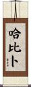 Habib Scroll