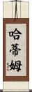 Hatim Scroll