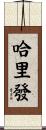 哈里發 Scroll