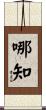 哪知 Scroll