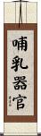 哺乳器官 Scroll