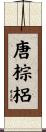 唐棕梠 Scroll