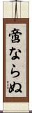 啻ならぬ Scroll