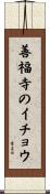 善福寺のイチョウ Scroll