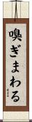 嗅ぎまわる Scroll
