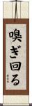 嗅ぎ回る Scroll