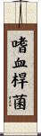 嗜血桿菌 Scroll