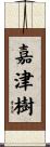 嘉津樹 Scroll