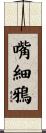 嘴細鴉 Scroll