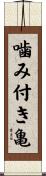 噛み付き亀 Scroll