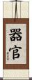 器官 Scroll