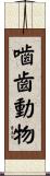 嚙齒動物 Scroll