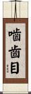嚙齒目 Scroll