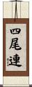 四尾連 Scroll