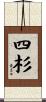 四杉 Scroll