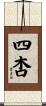 四杏 Scroll